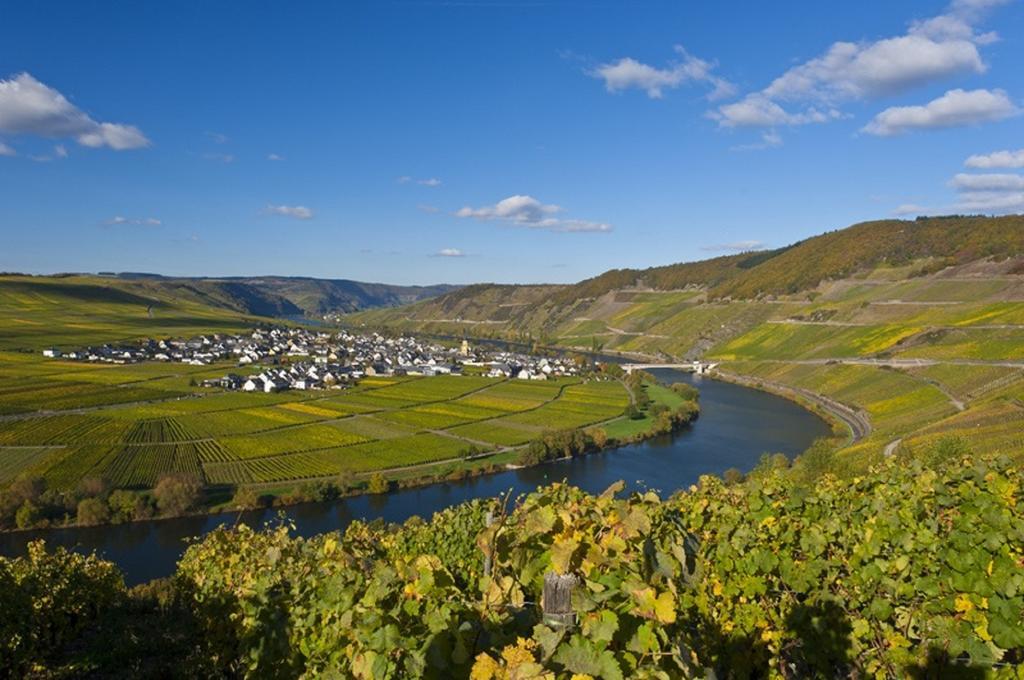 Gaestehaus Sophie Trittenheim Exteriör bild